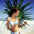 http://freundin.com/pfd/pfdm/pfdm.htm